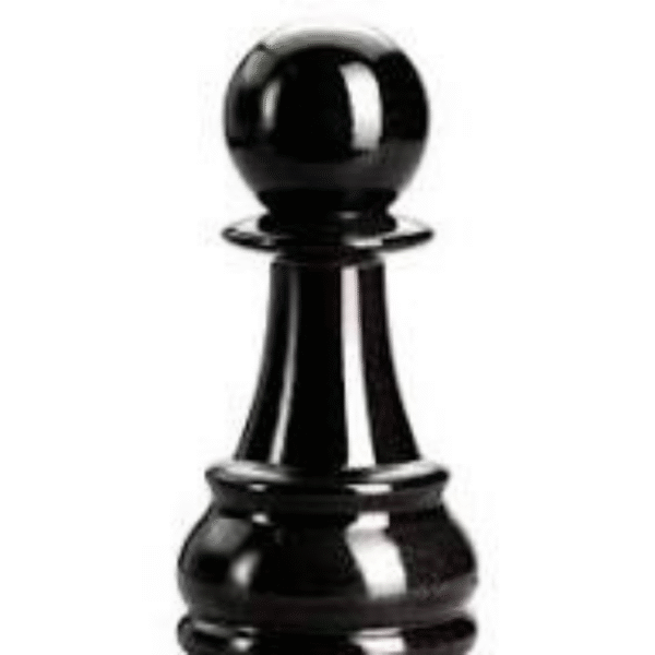 bisetti satranç serisi piyon 33715 karabiber değirmeni siyah 17 cm